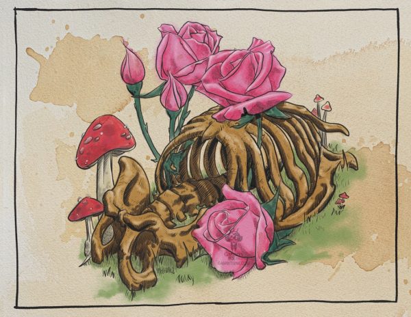 Pink Roses and Mushrooms